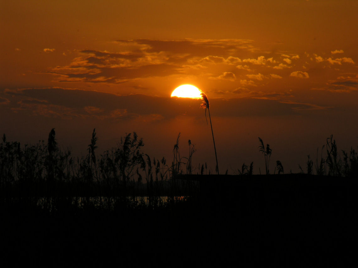 Tramonti sul lago di Massaciuccoli